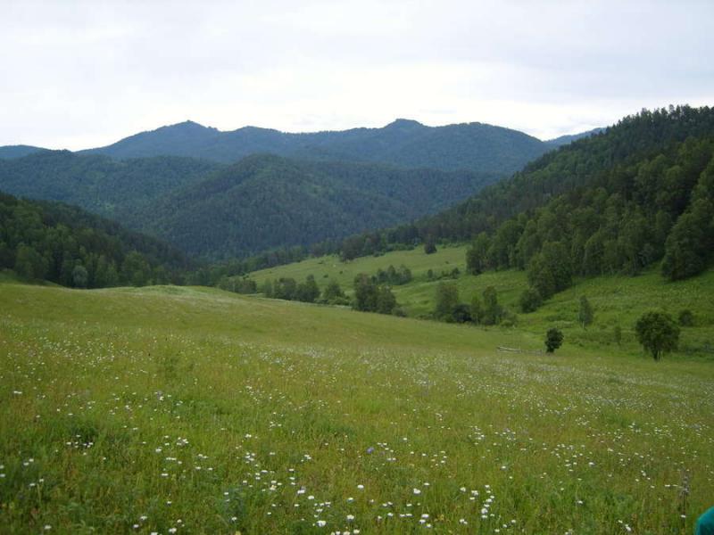 Земельные участки республика алтай