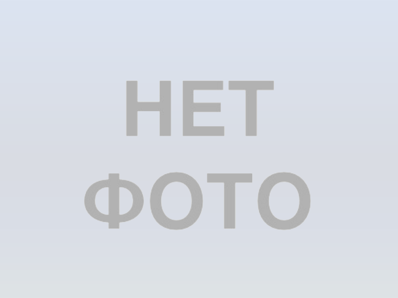 Алтайский район//